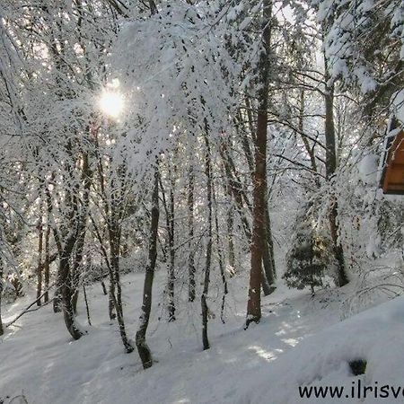 Casa Nella Natura Il Risveglio Degli Elfi بيدافينا المظهر الخارجي الصورة