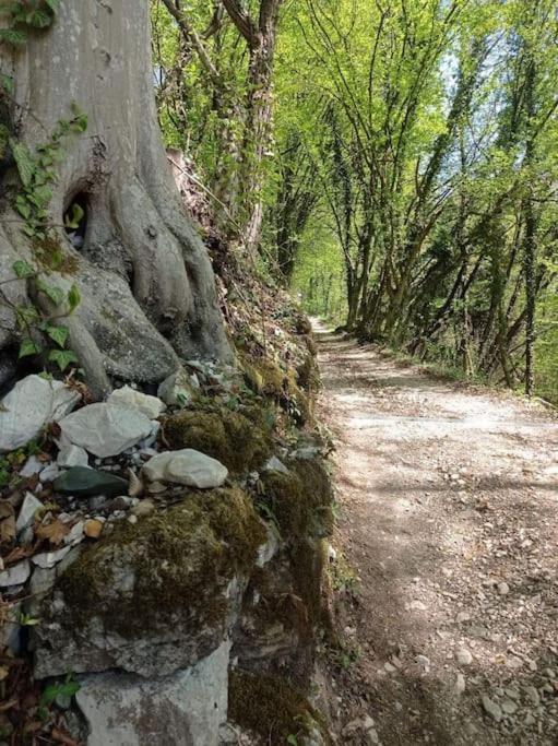 Casa Nella Natura Il Risveglio Degli Elfi بيدافينا المظهر الخارجي الصورة