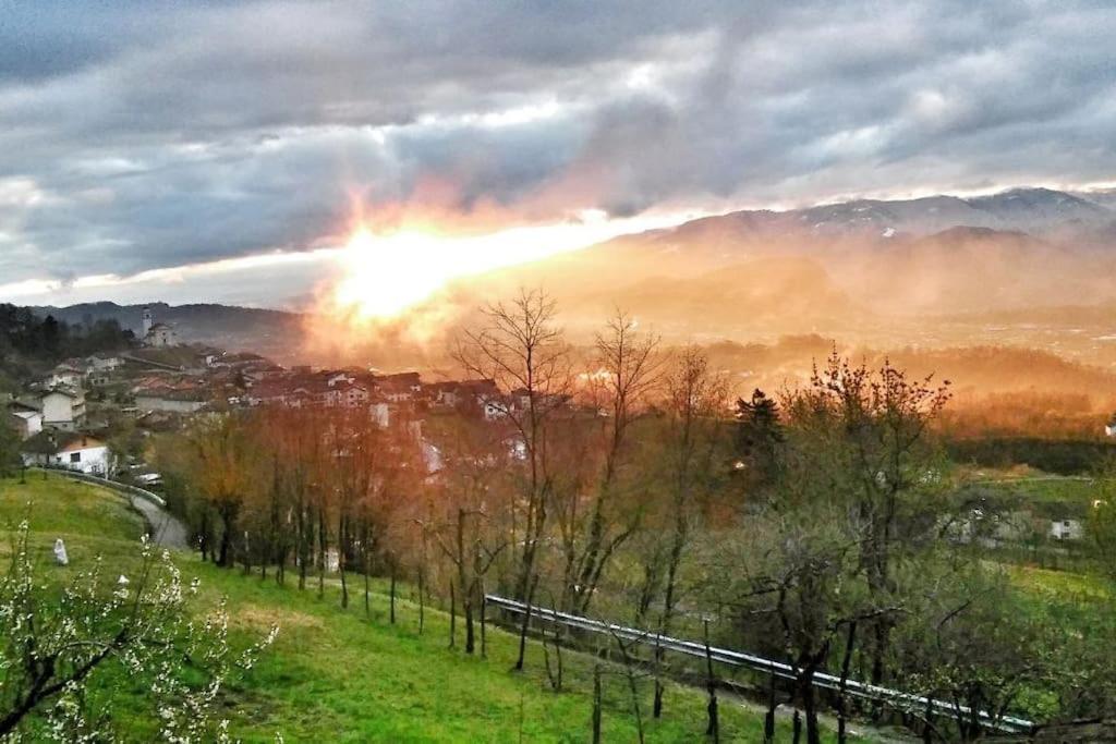 Casa Nella Natura Il Risveglio Degli Elfi بيدافينا المظهر الخارجي الصورة