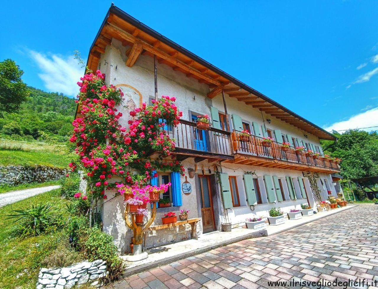 Casa Nella Natura Il Risveglio Degli Elfi بيدافينا المظهر الخارجي الصورة
